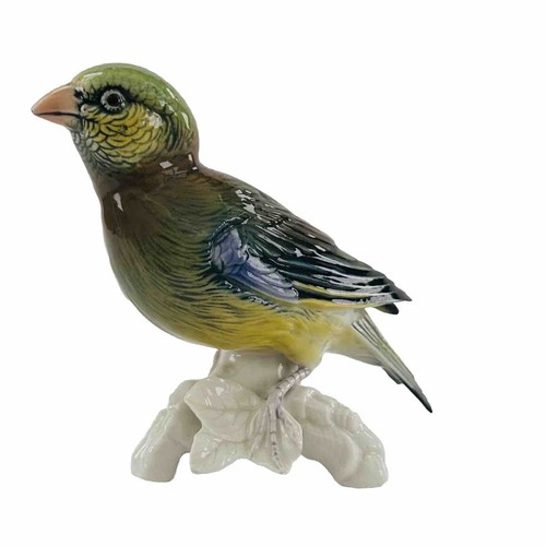 Karl ens bird - karl, finch