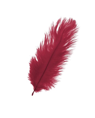 Large long ostrich - large,