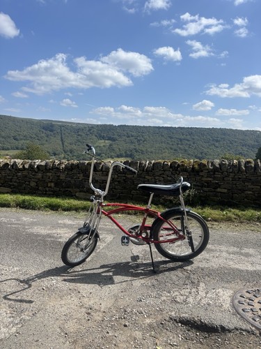 Sting ray chopper vintage one - sting,