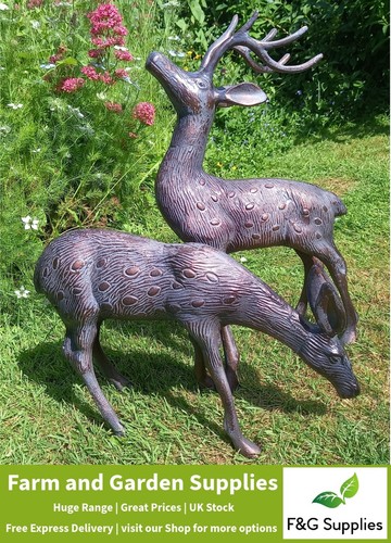 Stag doe deer garden - doe,