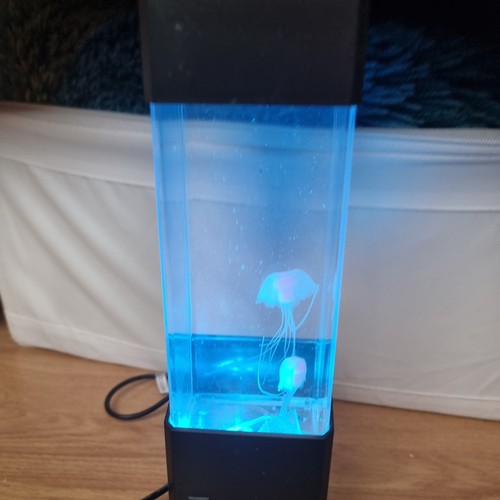 Jellyfish lamp colourful - jellyfish,