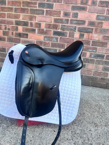 Kent and masters dressage - kent,
