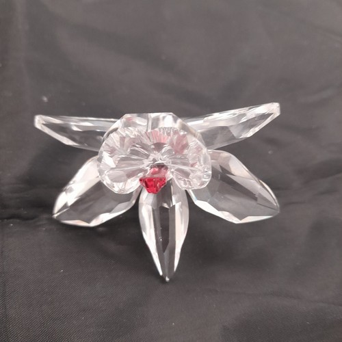 Swarovski crystal orchid pink - crystal,