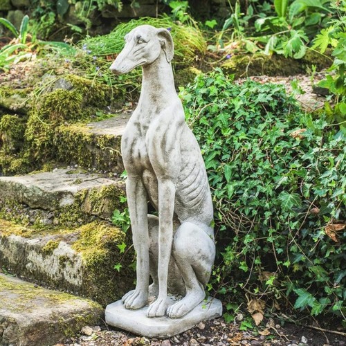 Single large sitting greyhound - single,