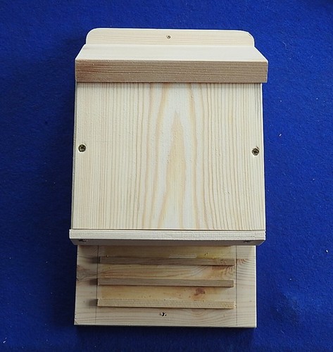 Bat box for bats roost - bats, and