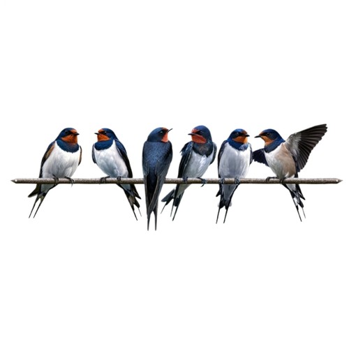 Birds branch metal - metal, wall