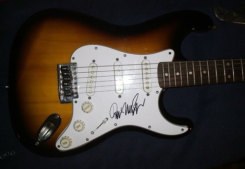 Don mclean signed guitar - signed,