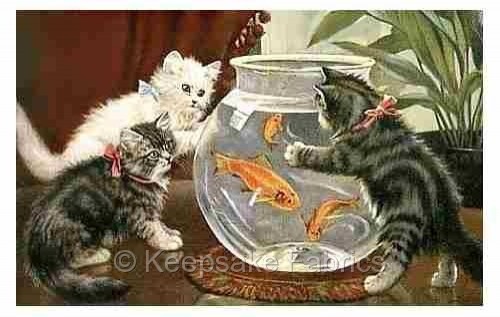 Cats goldfish bowl cotton - bowl,