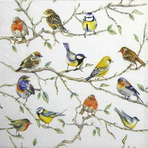 Single paper napkins for - paper,