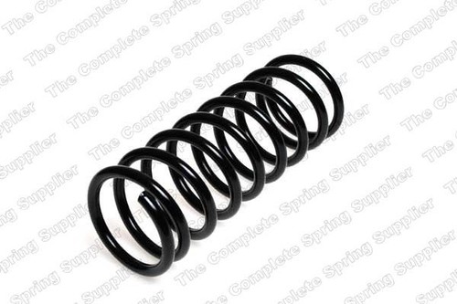 Suspension spring rear fits - spring,