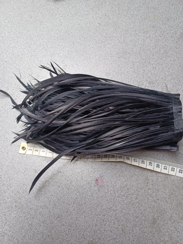 Extra long goose biot feather