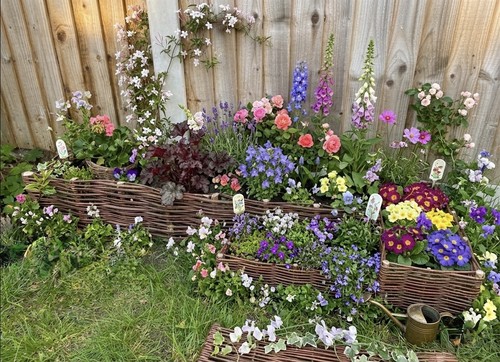Wicker fencing panel - ,,