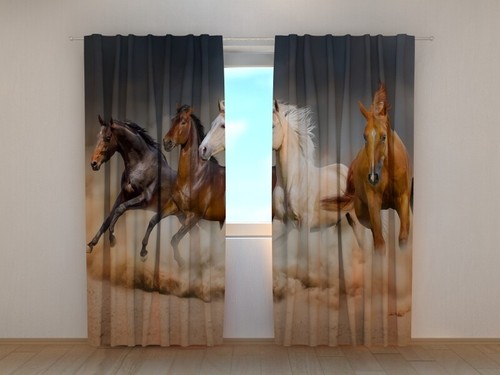 Photo curtain herd horses 1 - herd, of