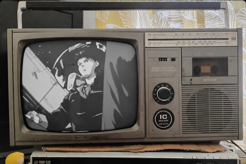 Sharp 12p 29h crt - b&w, tv