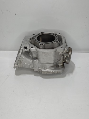 Senior rotax max evo engine - ,