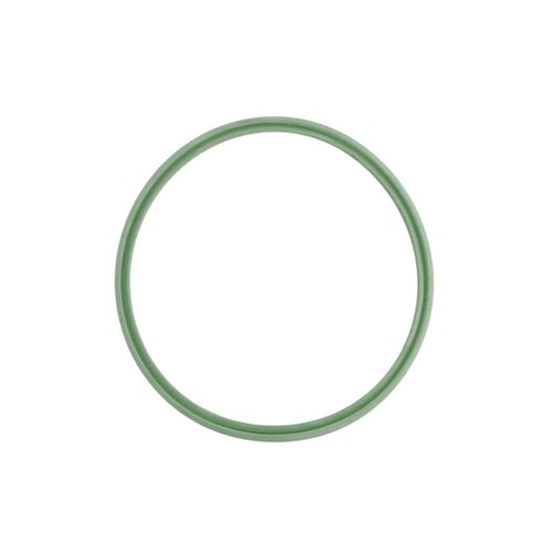 Thermotec dcb105tt seal ring - thermotec,