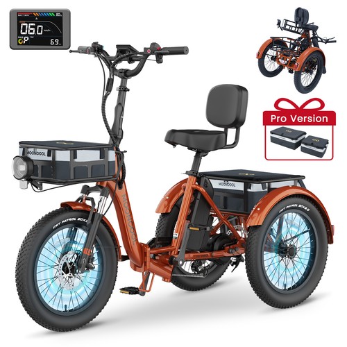 Naizea fat tire folding - fat,