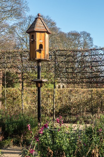 Photo 12x8 ornamental garden - 12x8,