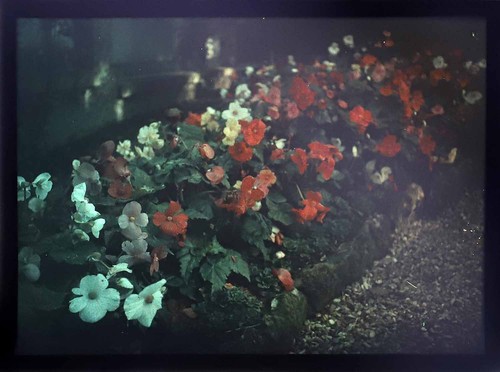 Light autochrome photograph - light,
