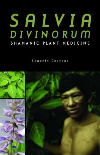 Salvia divinorum shamanic - salvia, divinorum:
