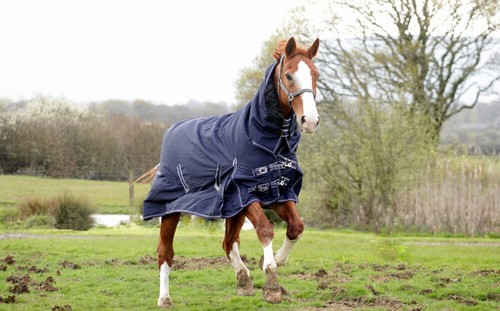 Rhinegold full neck - full,