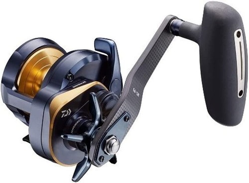 Daiwa baitcasting reel - reel, 22