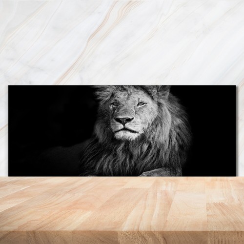 Kitchen glass splashback - glass,
