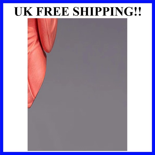 Resin figure ancient girl - resin,