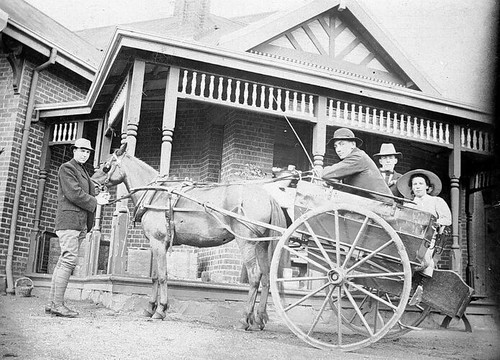 1916 horse and - horse,