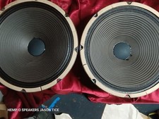 12" ALNICO SPEAKERS GUITAR