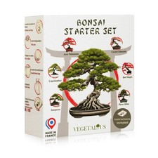 Bonsai Starter Kit with 6