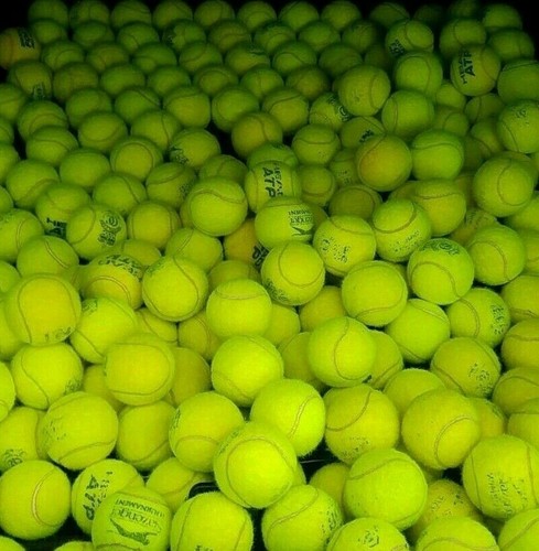 Used tennis balls for dogs - used,