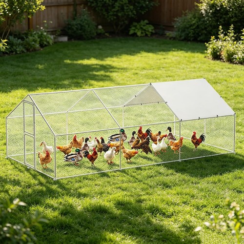 Metal chicken coop - 20,