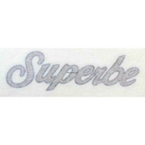 Raleigh superbe chaincase - "superbe",