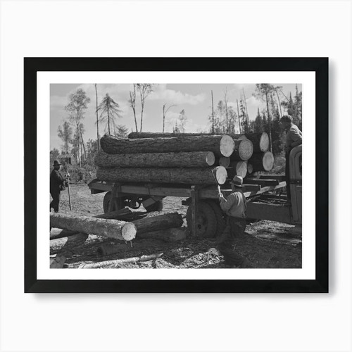 Unloading timber from - timber,