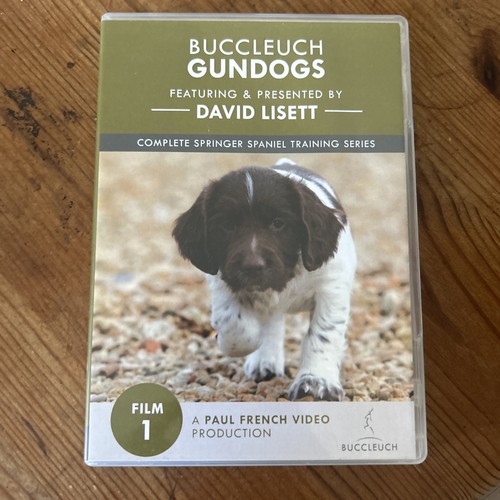 Springer spaniel training - spaniel,