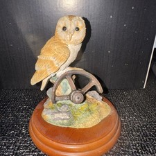 Border Fine Arts Barn Owl on