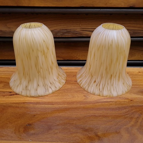 Vintage tulip lamp - vintage, shades