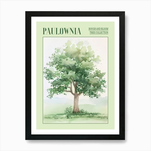 Paulownia tree atmospheric - paulownia,