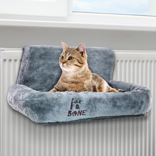 Cat radiator bed for - cat,