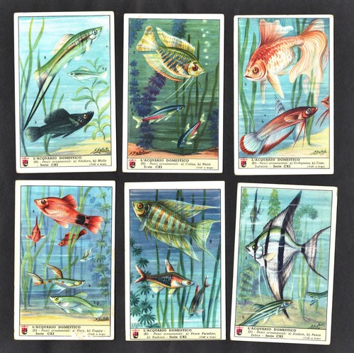 Aquarium fishes lavazza card - fishes,