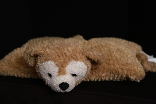 Disney parks duffy hidden - parks, (hidden