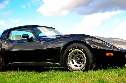 Chevrolet corvette stingray - chevrolet,