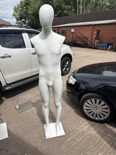 Full body mannequin torso - full,