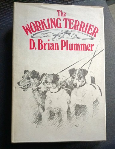 The working terrier david - terrier,,