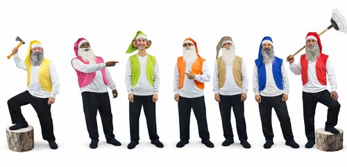 Adults dwarfs gnomes elf - 7,