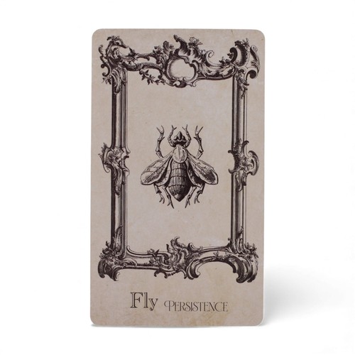 The spellbook oracle cards - the, cards-