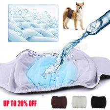 Male Dog Puppy Pet Nappy