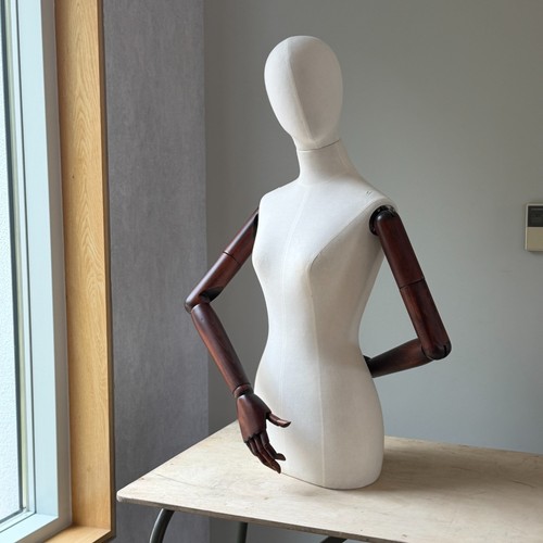Female mannequin display torso - female,