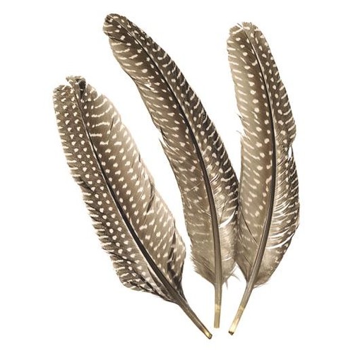 Knorr prandell 20cm - prandell, guinea